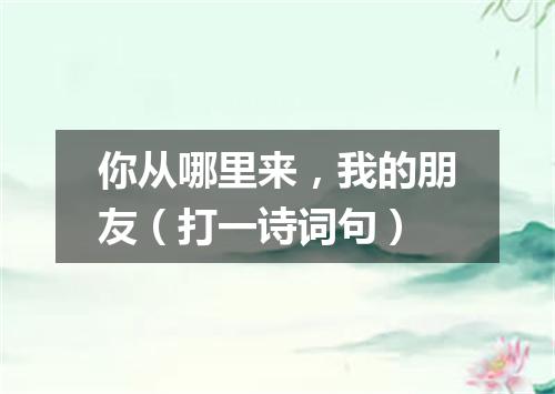 你从哪里来，我的朋友（打一诗词句）