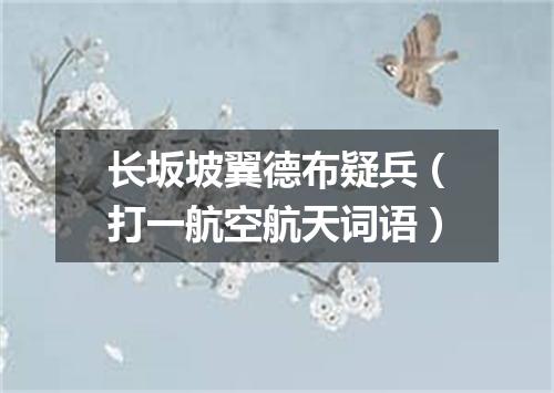 长坂坡翼德布疑兵（打一航空航天词语）