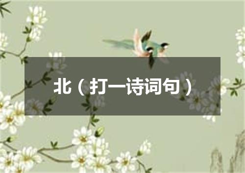 北（打一诗词句）