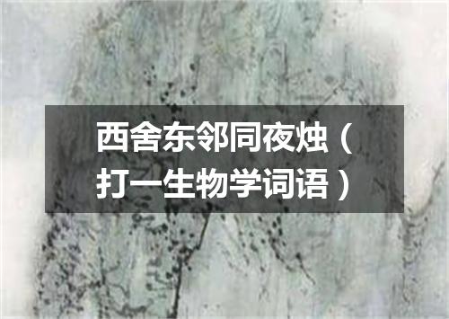 西舍东邻同夜烛（打一生物学词语）