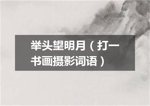 举头望明月（打一书画摄影词语）