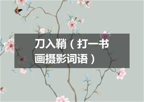 刀入鞘（打一书画摄影词语）