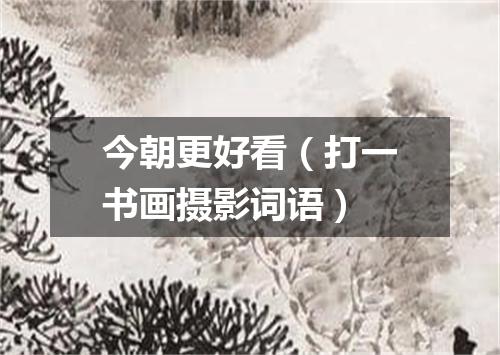 今朝更好看（打一书画摄影词语）