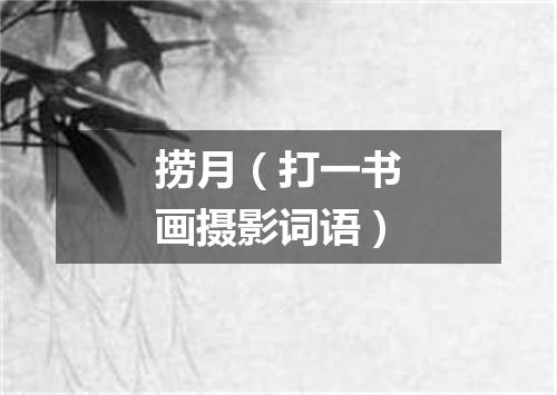 捞月（打一书画摄影词语）