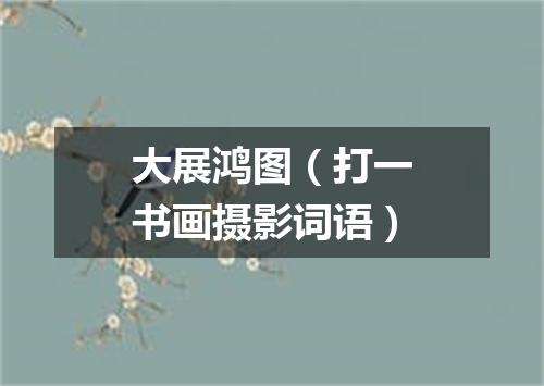 大展鸿图（打一书画摄影词语）