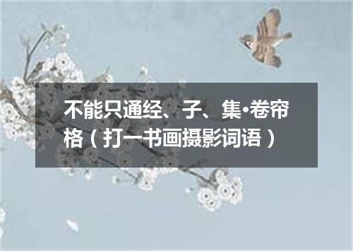 不能只通经、子、集·卷帘格（打一书画摄影词语）