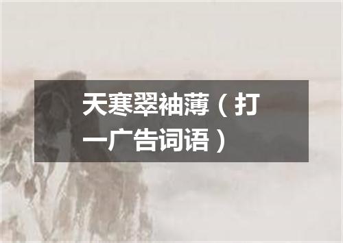 天寒翠袖薄（打一广告词语）