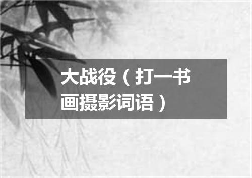 大战役（打一书画摄影词语）