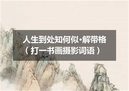 人生到处知何似·解带格（打一书画摄影词语）