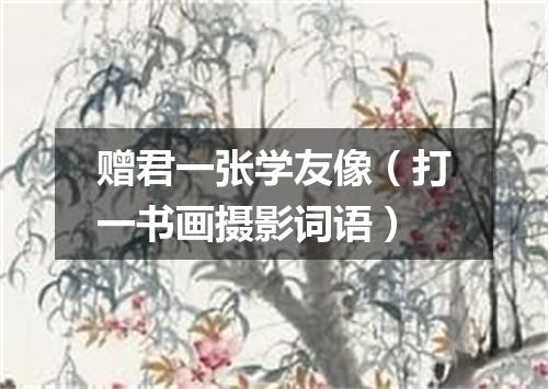 赠君一张学友像（打一书画摄影词语）