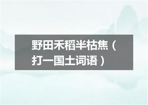 野田禾稻半枯焦（打一国土词语）