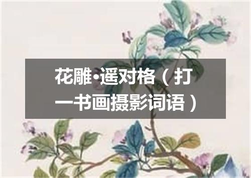 花雕·遥对格（打一书画摄影词语）