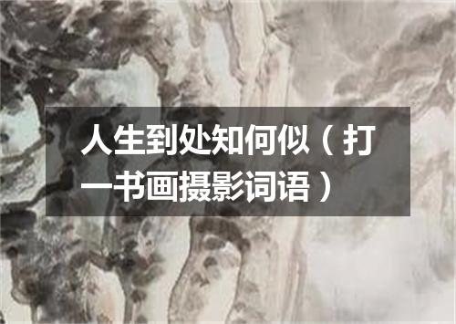 人生到处知何似（打一书画摄影词语）