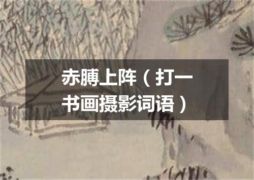 赤膊上阵（打一书画摄影词语）