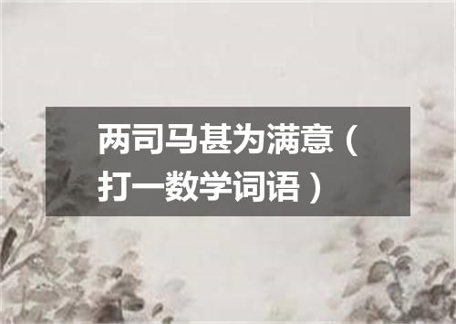 两司马甚为满意（打一数学词语）