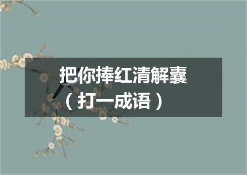 把你捧红清解囊（打一成语）