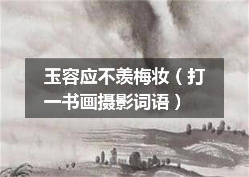 玉容应不羡梅妆（打一书画摄影词语）