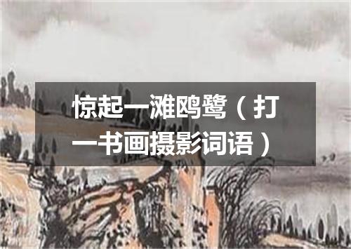 惊起一滩鸥鹭（打一书画摄影词语）