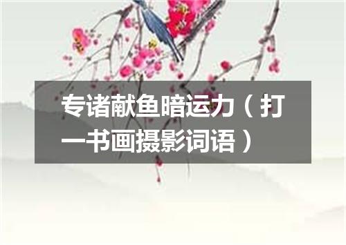 专诸献鱼暗运力（打一书画摄影词语）