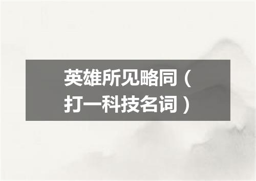 英雄所见略同（打一科技名词）