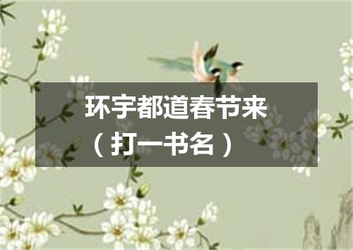 环宇都道春节来（打一书名）