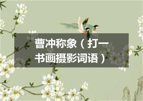 曹冲称象（打一书画摄影词语）