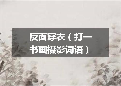反面穿衣（打一书画摄影词语）