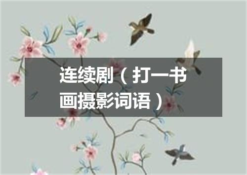 连续剧（打一书画摄影词语）