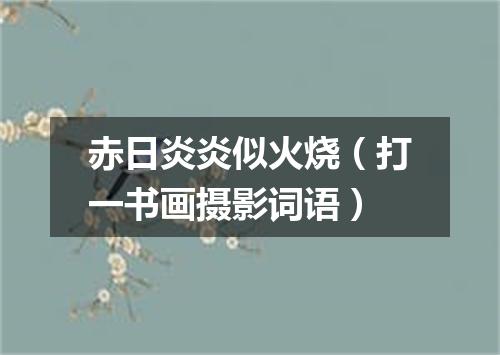 赤日炎炎似火烧（打一书画摄影词语）