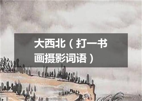 大西北（打一书画摄影词语）