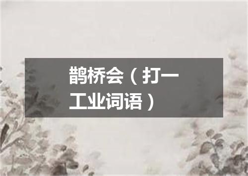 鹊桥会（打一工业词语）