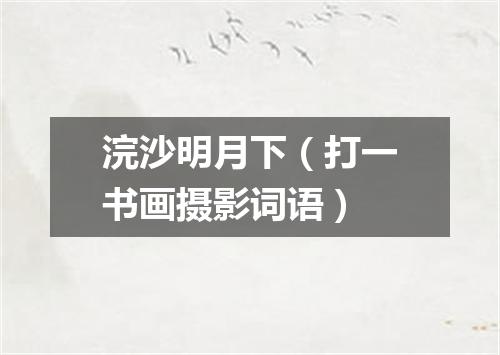 浣沙明月下（打一书画摄影词语）