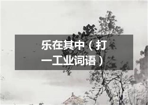 乐在其中（打一工业词语）