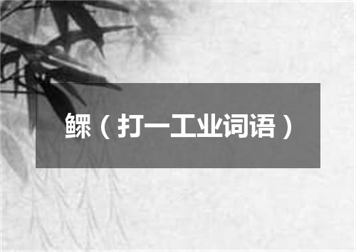 鳏（打一工业词语）