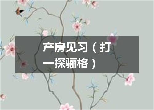 产房见习（打一探骊格）