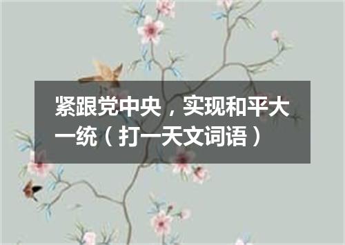 紧跟党中央，实现和平大一统（打一天文词语）