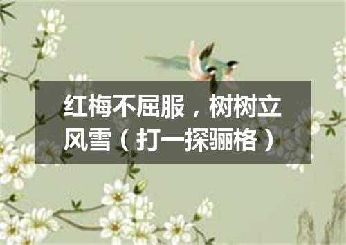 红梅不屈服，树树立风雪（打一探骊格）