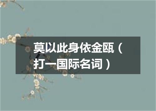 莫以此身依金瓯（打一国际名词）