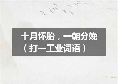 十月怀胎，一朝分娩（打一工业词语）