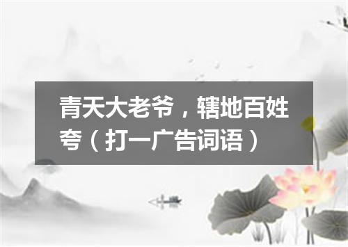 青天大老爷，辖地百姓夸（打一广告词语）