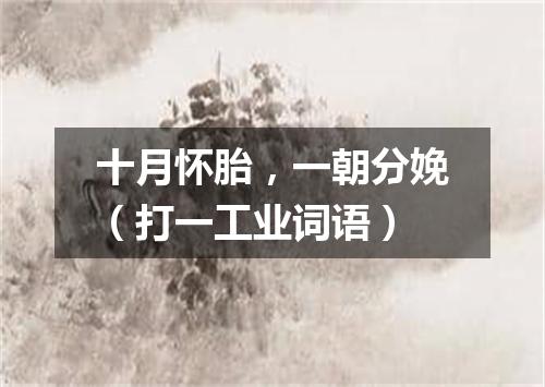 十月怀胎，一朝分娩（打一工业词语）