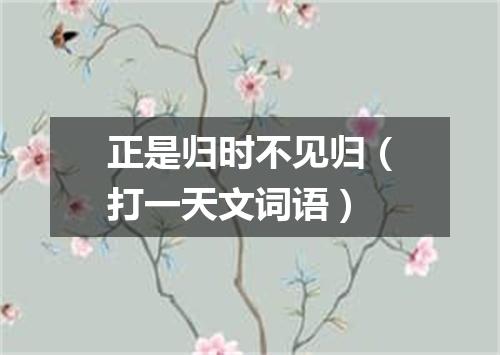 正是归时不见归（打一天文词语）