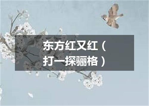 东方红又红（打一探骊格）