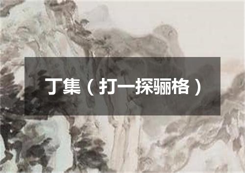 丁集（打一探骊格）